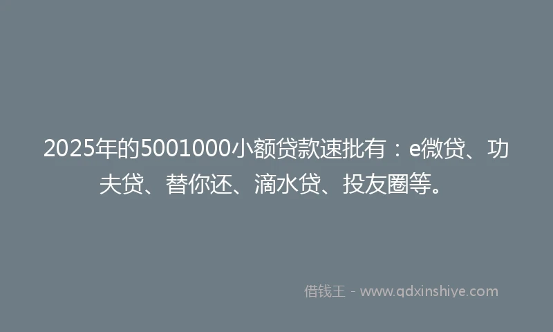 2025年的5001000小额贷款速批有:e微贷、功夫贷、替你还、滴水贷、投友圈等。