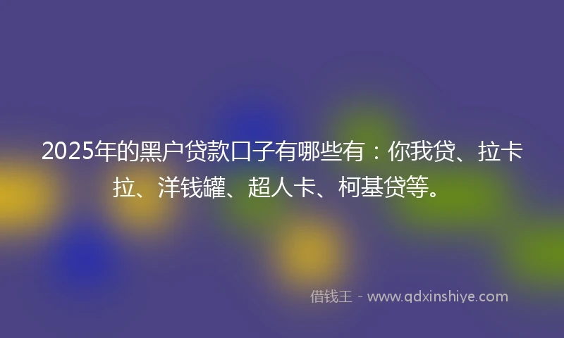 2025年的黑户贷款口子有哪些有：你我贷、拉卡拉、洋钱罐、超人卡、柯基贷等。