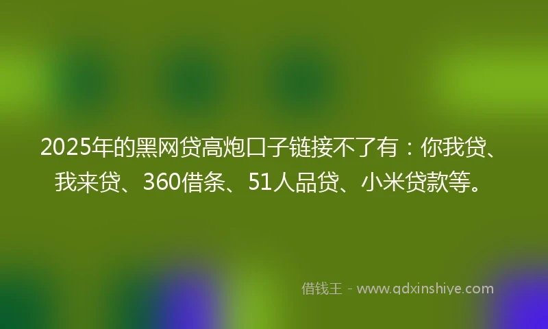 2025年的黑网贷高炮口子链接不了有：你我贷、我来贷、360借条、51人品贷、小米贷款等。
