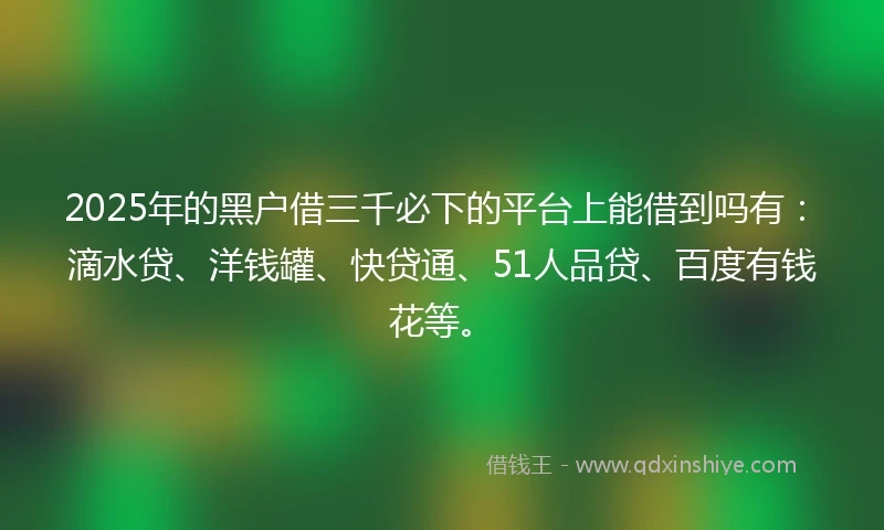 2025年的黑户借三千必下的平台上能借到吗有：滴水贷、洋钱罐、快贷通、51人品贷、百度有钱花等。