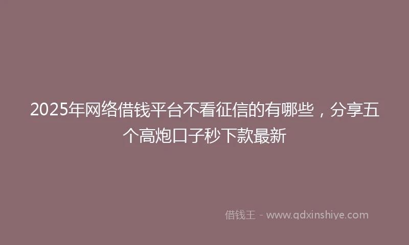 2025年网络借钱平台不看征信的有哪些，分享五个高炮口子秒下款最新