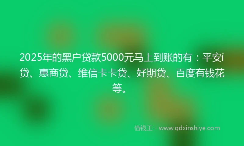 2025年的黑户贷款5000元马上到账的有：平安i贷、惠商贷、维信卡卡贷、好期贷、百度有钱花等。