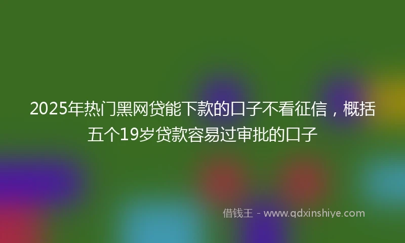 2025年热门黑网贷能下款的口子不看征信，概括五个19岁贷款容易过审批的口子