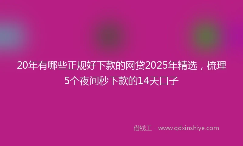 20年有哪些正规好下款的网贷2025年精选，梳理5个夜间秒下款的14天口子