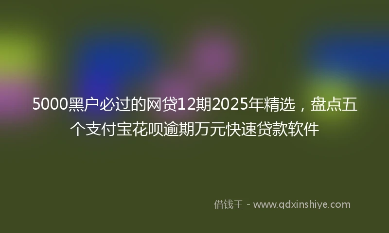 5000黑户必过的网贷12期2025年精选,盘点五个支付宝花呗逾期万元快速贷款软件