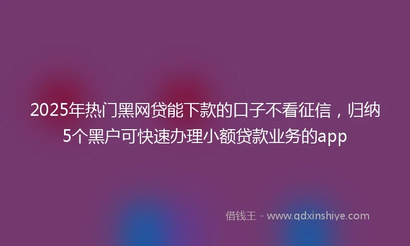 2025年热门黑网贷能下款的口子不看征信，归纳5个黑户可快速办理小额贷款业务的app