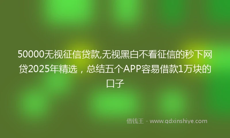 50000无视征信贷款,无视黑白不看征信的秒下网贷2025年精选，总结五个APP容易借款1万块的口子