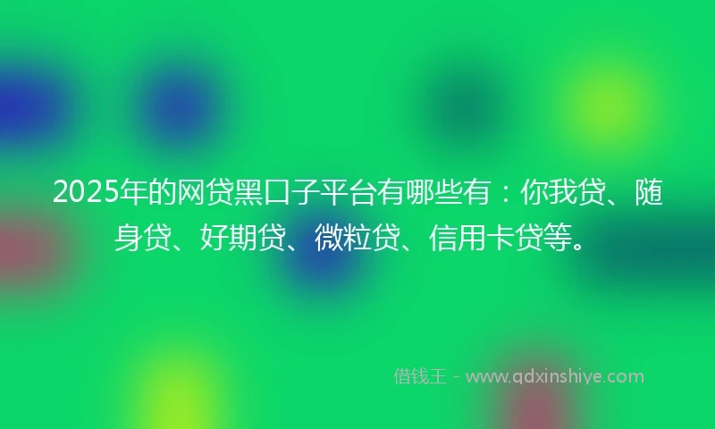 2025年的网贷黑口子平台有哪些有：你我贷、随身贷、好期贷、微粒贷、信用卡贷等。