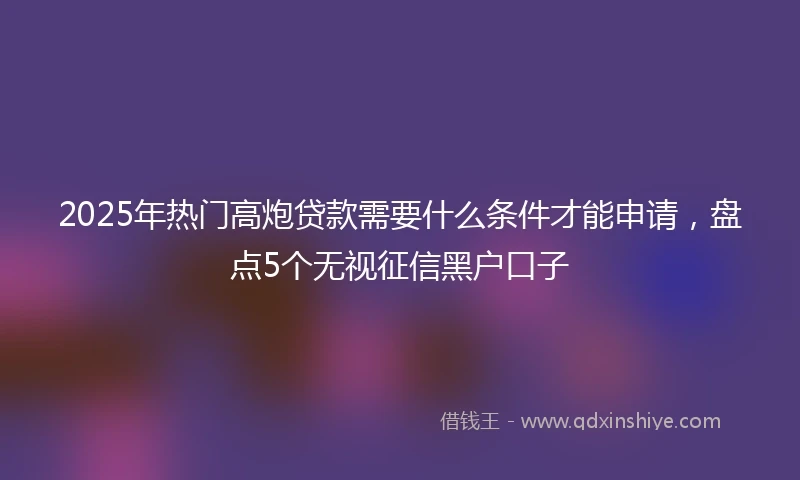 2025年热门高炮贷款需要什么条件才能申请，盘点5个无视征信黑户口子