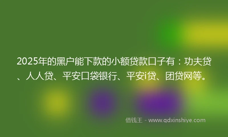 2025年的黑户能下款的小额贷款口子有：功夫贷、人人贷、平安口袋银行、平安i贷、团贷网等。