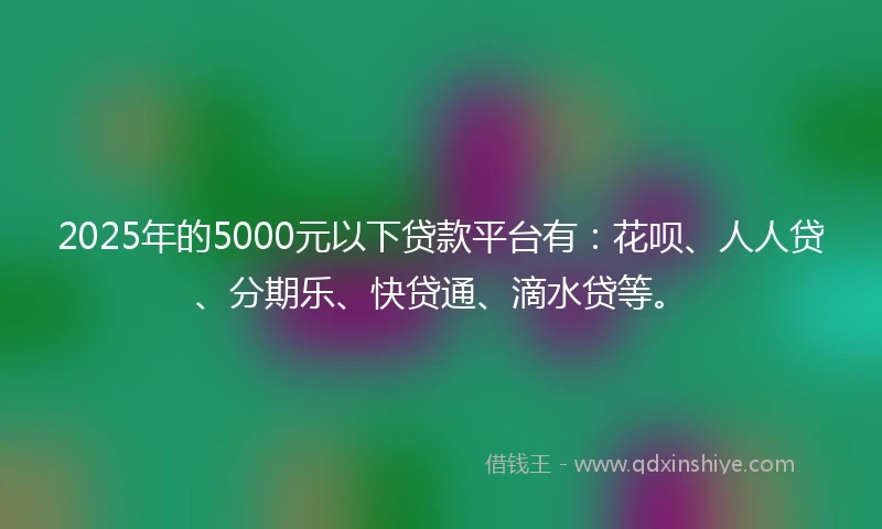 2025年的5000元以下贷款平台有：花呗、人人贷、分期乐、快贷通、滴水贷等。