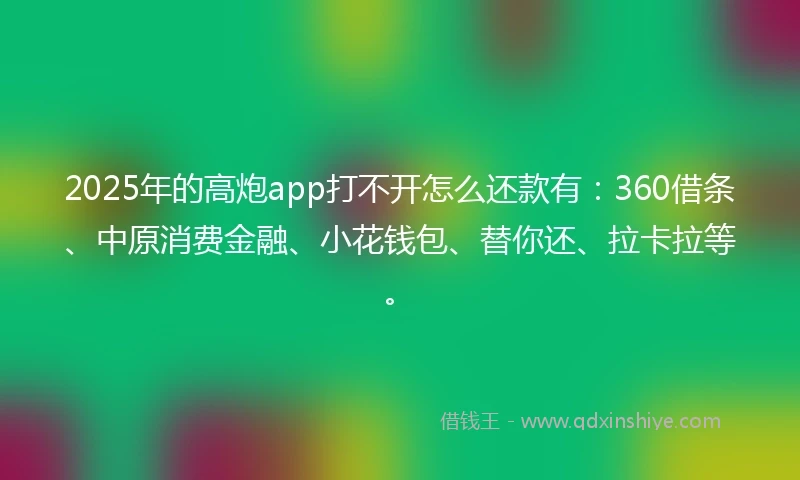 2025年的高炮app打不开怎么还款有：360借条、中原消费金融、小花钱包、替你还、拉卡拉等。