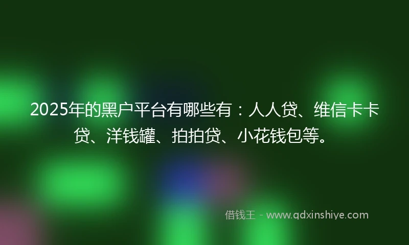 2025年的黑户平台有哪些有：人人贷、维信卡卡贷、洋钱罐、拍拍贷、小花钱包等。