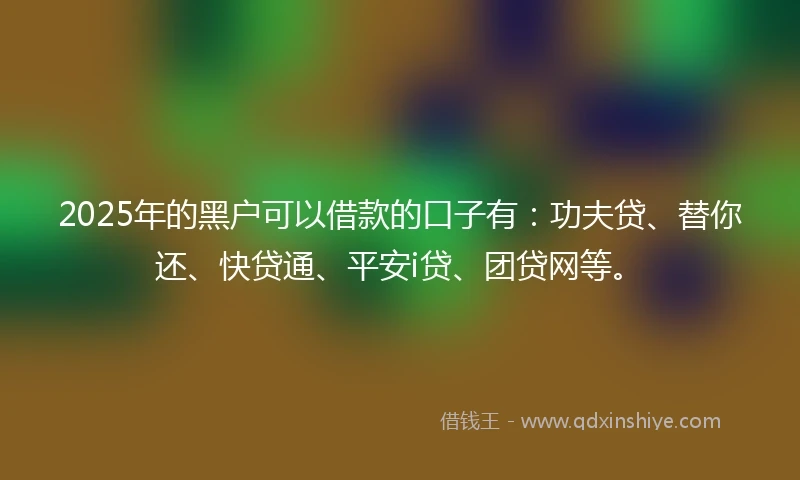 2025年的黑户可以借款的口子有：功夫贷、替你还、快贷通、平安i贷、团贷网等。