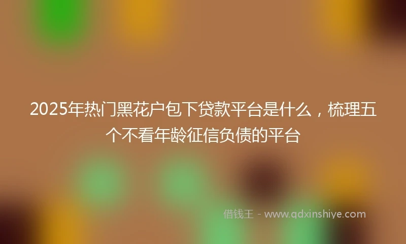 2025年热门黑花户包下贷款平台是什么，梳理五个不看年龄征信负债的平台