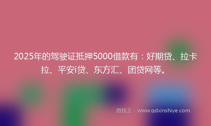 2025年的驾驶证抵押5000借款有：好期贷、拉卡拉、平安i贷、东方汇、团贷网等。