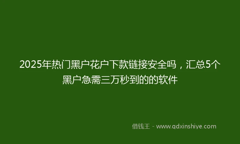 2025年热门黑户花户下款链接安全吗，汇总5个黑户急需三万秒到的的软件