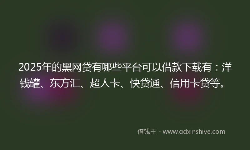 2025年的黑网贷有哪些平台可以借款下载有：洋钱罐、东方汇、超人卡、快贷通、信用卡贷等。
