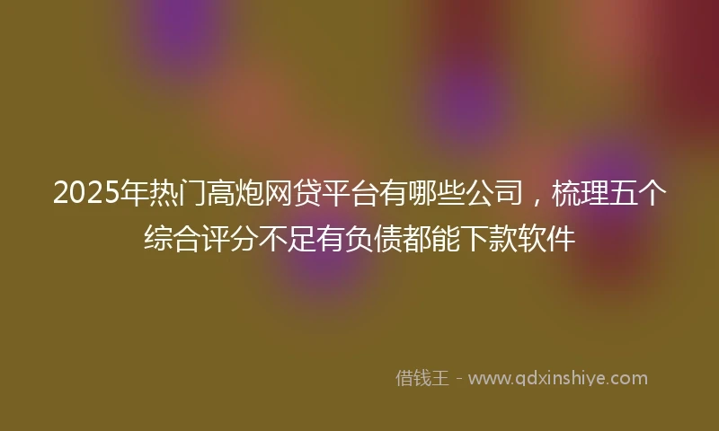 2025年热门高炮网贷平台有哪些公司，梳理五个综合评分不足有负债都能下款软件