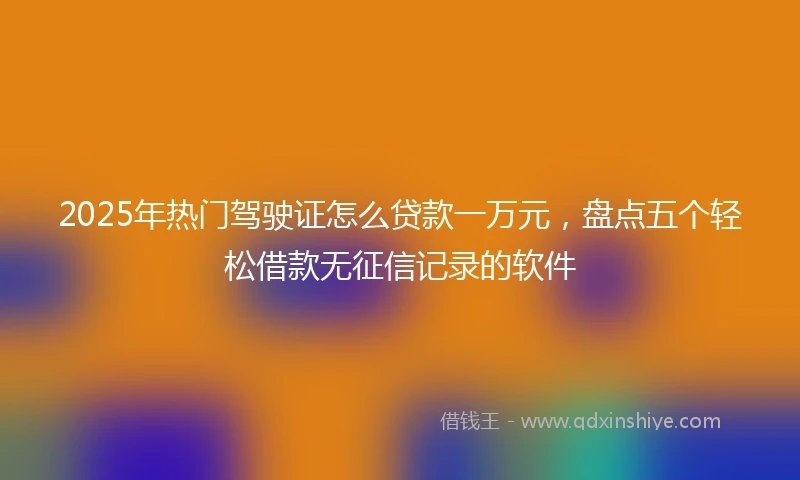 2025年热门驾驶证怎么贷款一万元，盘点五个轻松借款无征信记录的软件