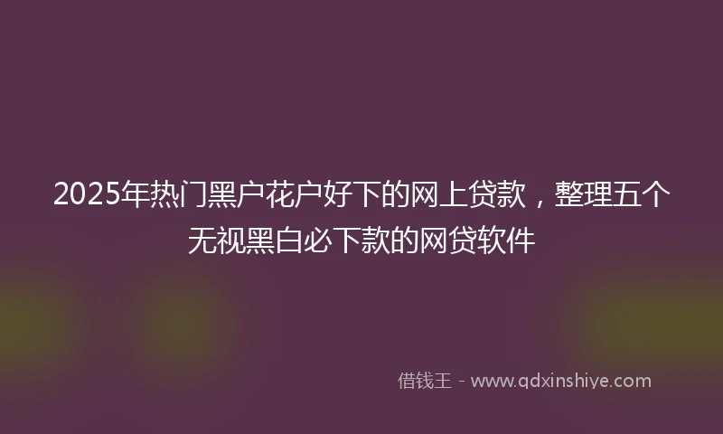 2025年热门黑户花户好下的网上贷款，整理五个无视黑白必下款的网贷软件