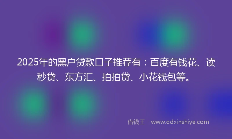 2025年的黑户贷款口子推荐有：百度有钱花、读秒贷、东方汇、拍拍贷、小花钱包等。