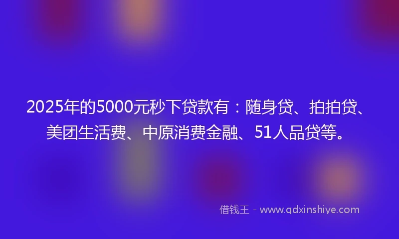 2025年的5000元秒下贷款有：随身贷、拍拍贷、美团生活费、中原消费金融、51人品贷等。