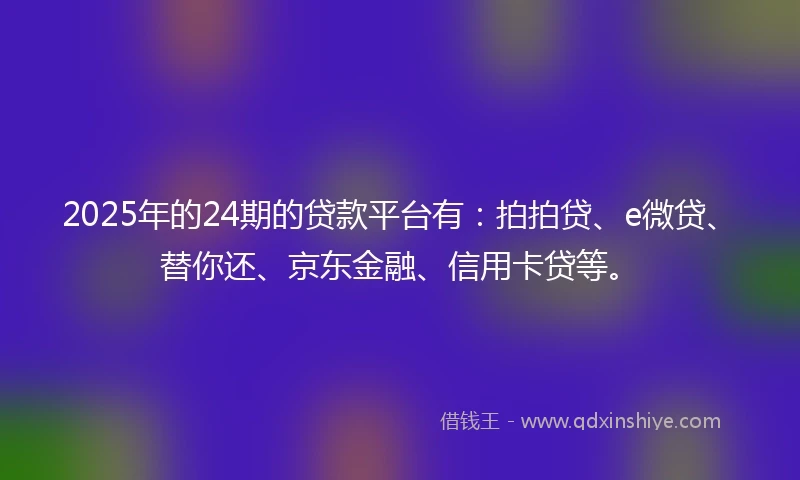 2025年的24期的贷款平台有：拍拍贷、e微贷、替你还、京东金融、信用卡贷等。