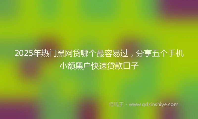 2025年热门黑网贷哪个最容易过，分享五个手机小额黑户快速贷款口子