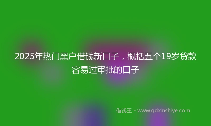 2025年热门黑户借钱新口子，概括五个19岁贷款容易过审批的口子
