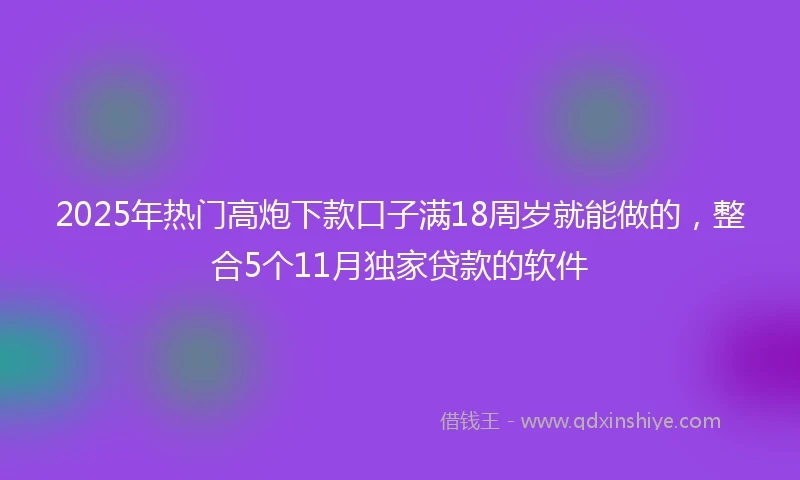 2025年热门高炮下款口子满18周岁就能做的，整合5个11月独家贷款的软件