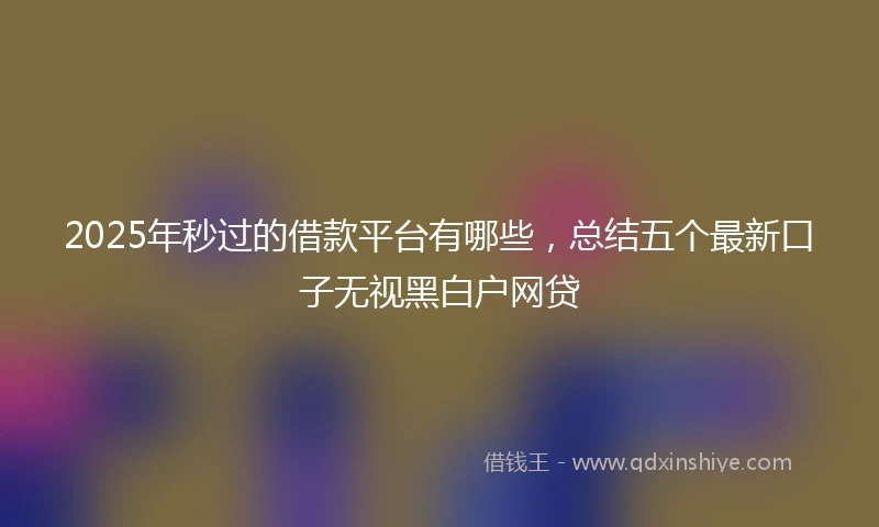 2025年秒过的借款平台有哪些，总结五个最新口子无视黑白户网贷