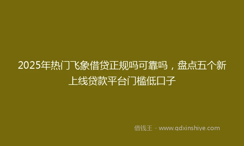 2025年热门飞象借贷正规吗可靠吗，盘点五个新上线贷款平台门槛低口子
