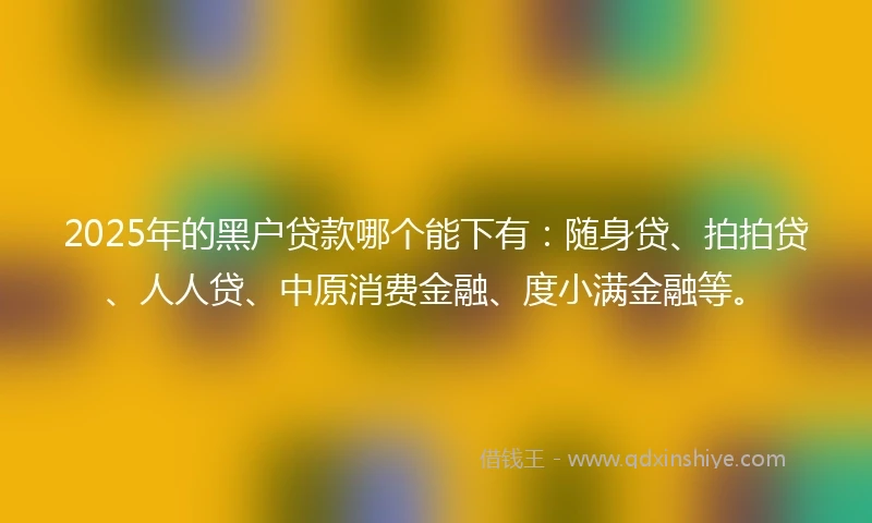 2025年的黑户贷款哪个能下有：随身贷、拍拍贷、人人贷、中原消费金融、度小满金融等。