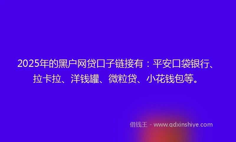 2025年的黑户网贷口子链接有：平安口袋银行、拉卡拉、洋钱罐、微粒贷、小花钱包等。