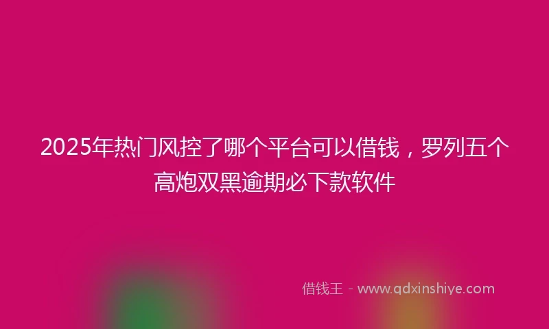 2025年热门风控了哪个平台可以借钱，罗列五个高炮双黑逾期必下款软件