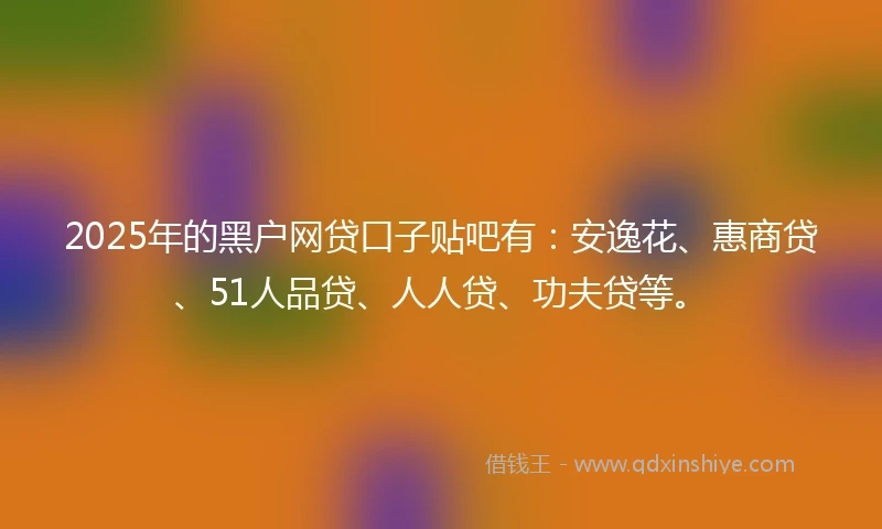 2025年的黑户网贷口子贴吧有：安逸花、惠商贷、51人品贷、人人贷、功夫贷等。
