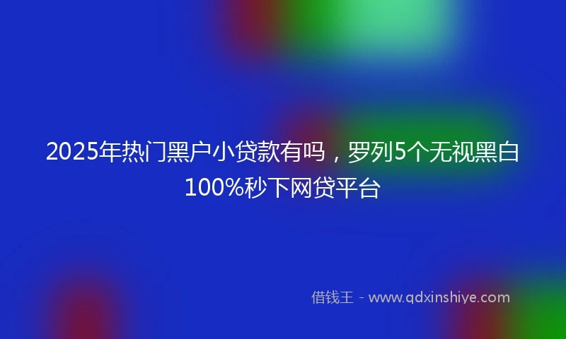 2025年热门黑户小贷款有吗，罗列5个无视黑白100%秒下网贷平台