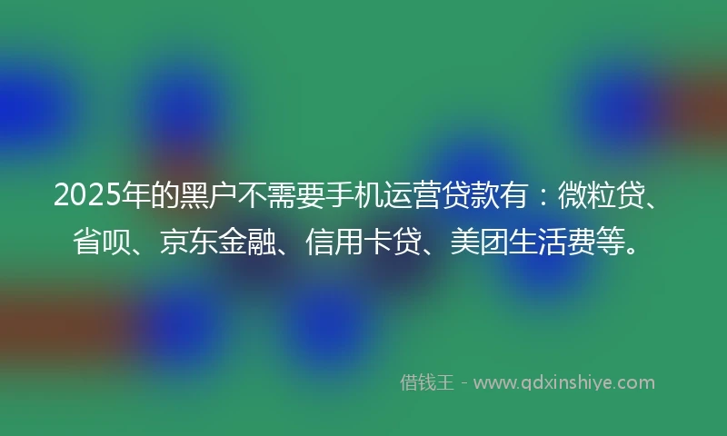 2025年的黑户不需要手机运营贷款有：微粒贷、省呗、京东金融、信用卡贷、美团生活费等。