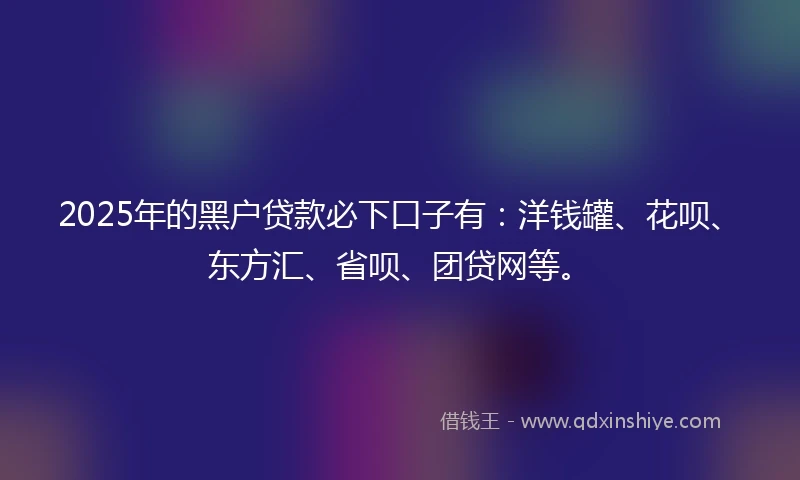 2025年的黑户贷款必下口子有：洋钱罐、花呗、东方汇、省呗、团贷网等。