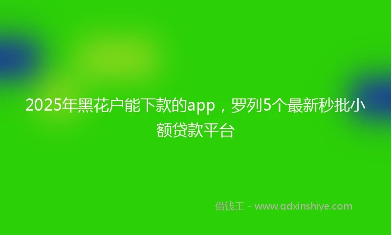 2025年黑花户能下款的app，罗列5个最新秒批小额贷款平台
