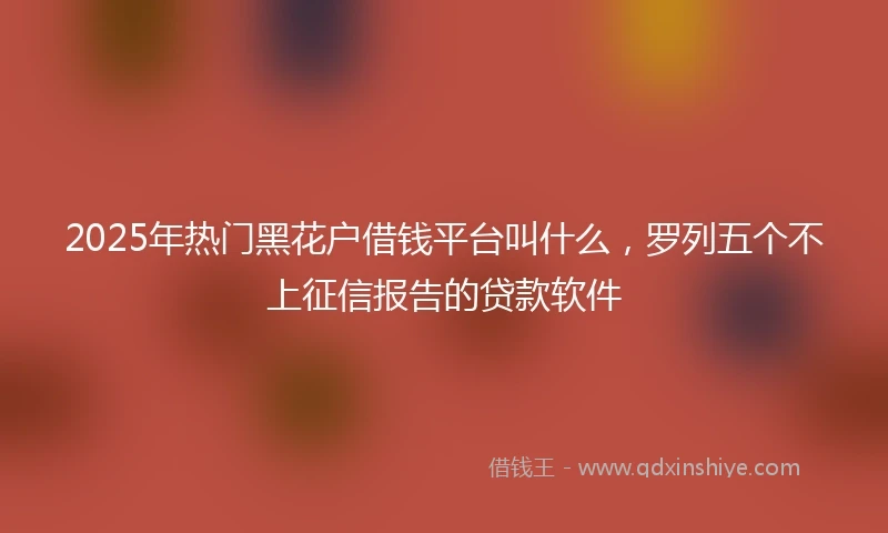 2025年热门黑花户借钱平台叫什么，罗列五个不上征信报告的贷款软件