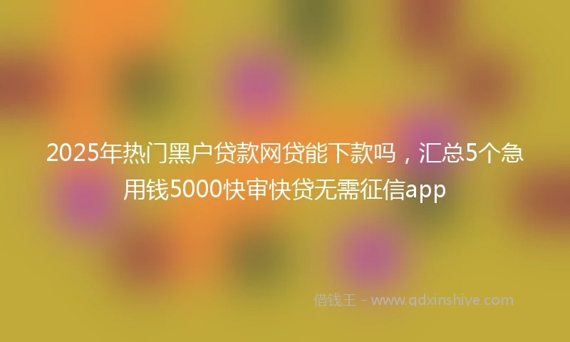 2025年热门黑户贷款网贷能下款吗，汇总5个急用钱5000快审快贷无需征信app