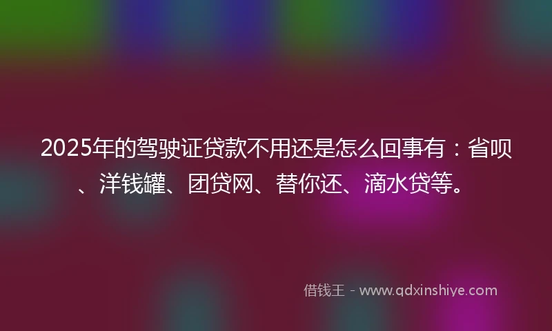 2025年的驾驶证贷款不用还是怎么回事有：省呗、洋钱罐、团贷网、替你还、滴水贷等。