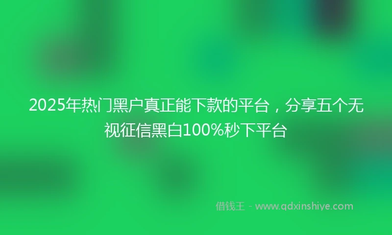 2025年热门黑户真正能下款的平台，分享五个无视征信黑白100%秒下平台