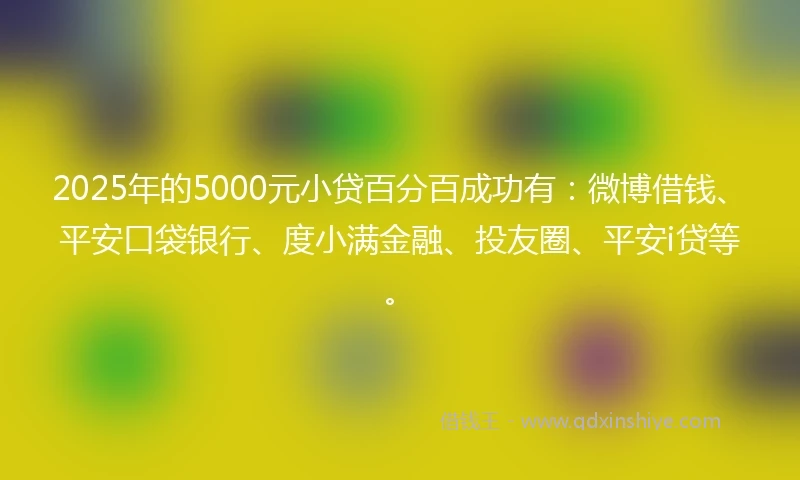 2025年的5000元小贷百分百成功有：微博借钱、平安口袋银行、度小满金融、投友圈、平安i贷等。