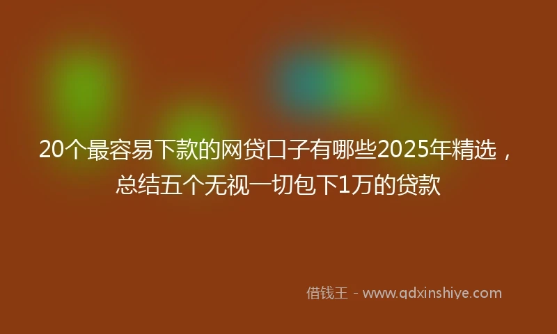 20个最容易下款的网贷口子有哪些2025年精选，总结五个无视一切包下1万的贷款