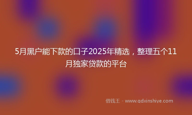 5月黑户能下款的口子2025年精选，整理五个11月独家贷款的平台