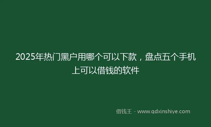 2025年热门黑户用哪个可以下款，盘点五个手机上可以借钱的软件