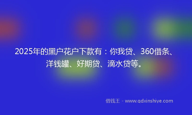 2025年的黑户花户下款有：你我贷、360借条、洋钱罐、好期贷、滴水贷等。